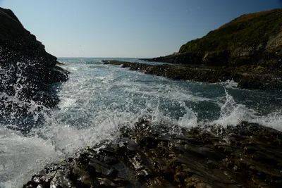 DSC_2680 (Large).JPG